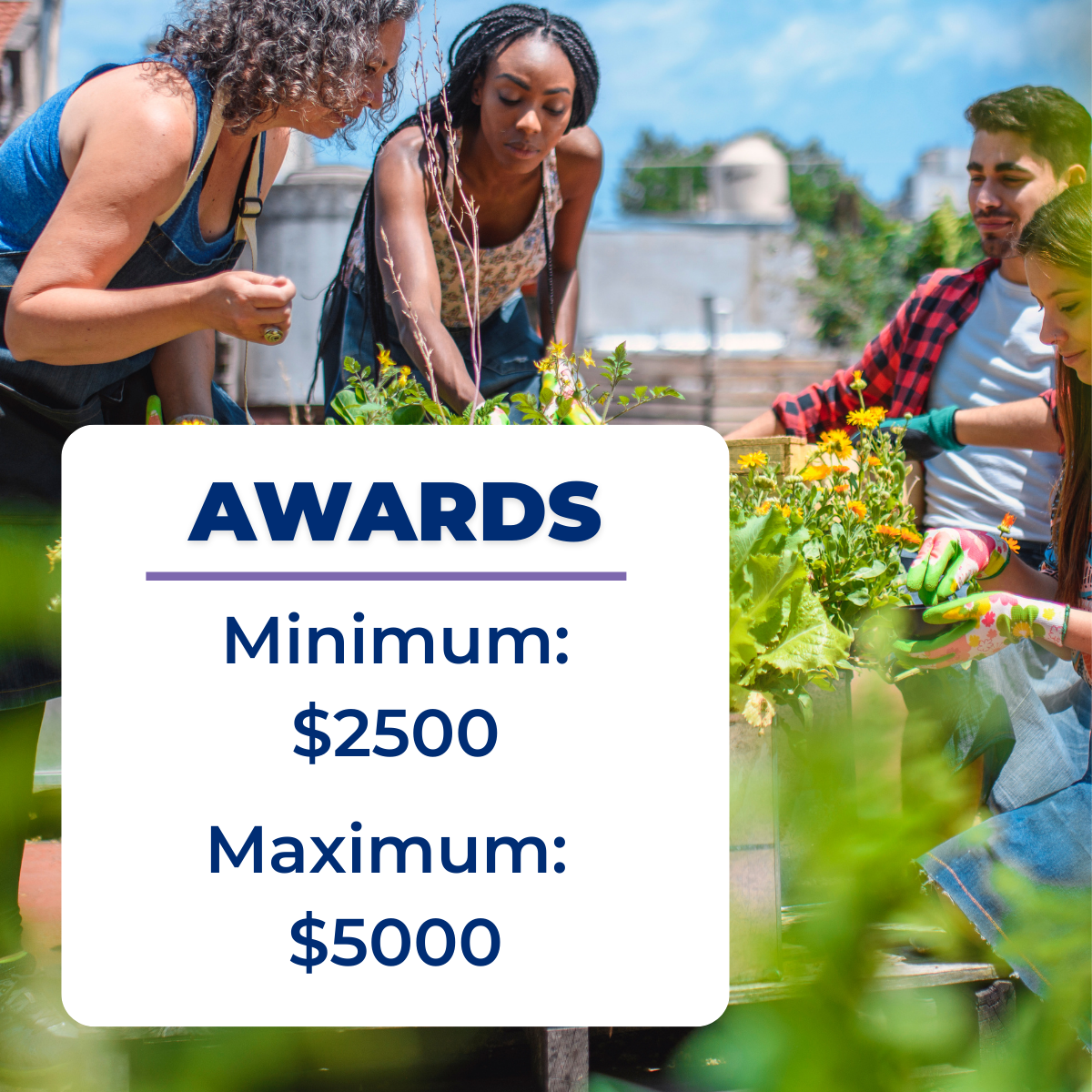 Awards: Minimum $2500 Maximum: $5000